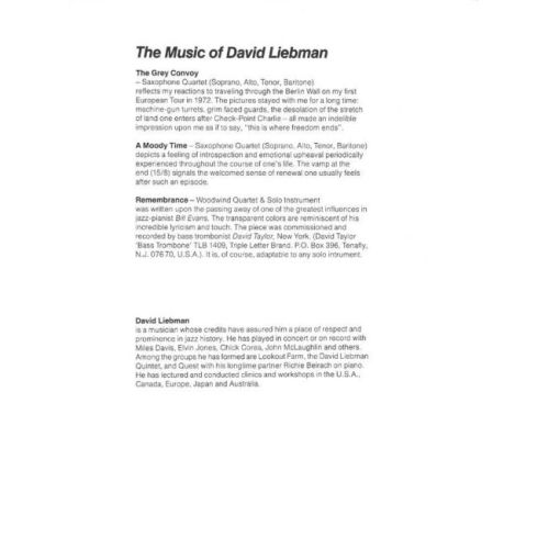 Liebman, David - A Moody Time