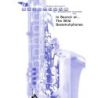 Schoendorff, Matthew - In Search of... The Wild Saxamuhphones