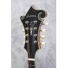 Eastman MD815PGE Honeyburst Electro Mandolin