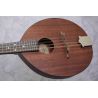 Ozark 2250 Army & Navy Mandolin