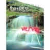 Verve, The - This is Music
