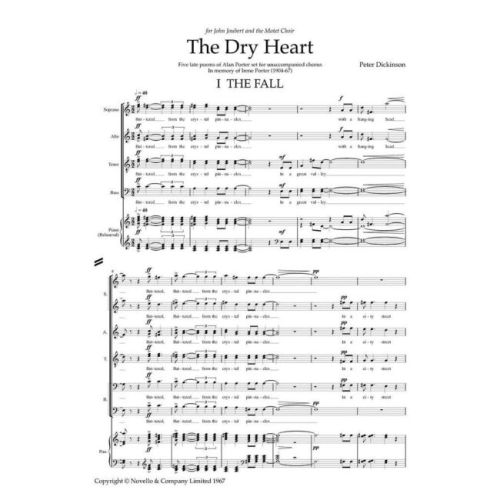 Dickinson, Peter - Dry Heart