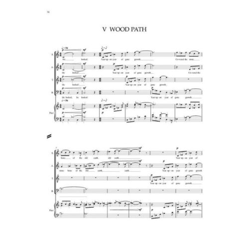 Dickinson, Peter - Dry Heart