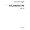Elgar, Edward - Fly Singing Bird Fly Op.26 No.2 (Violin 1)