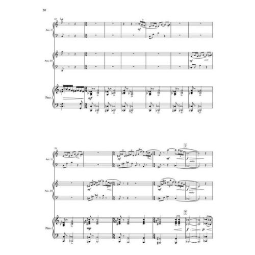 Sallinen, Aulis - Concerto for Two Accordions