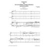 Sallinen, Aulis - Concerto for Two Accordions