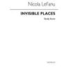 LeFanu, Nicola - Invisible Places