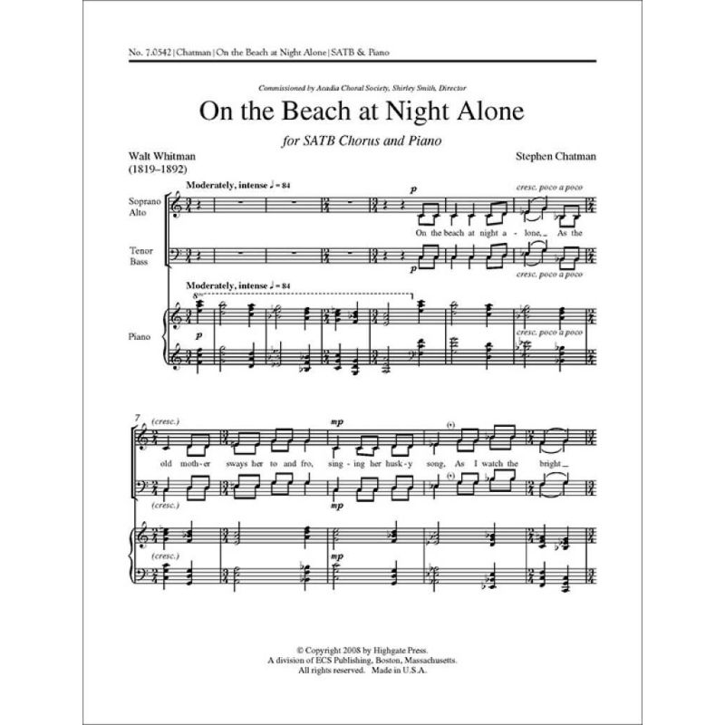 Chatman, Stephen - On the Beach at Night Alone