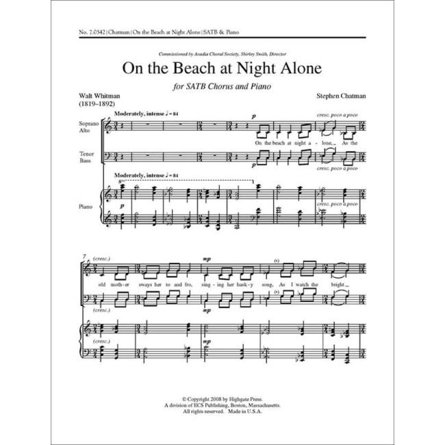 Chatman, Stephen - On the Beach at Night Alone