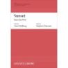 Chatman, Stephen - Sunset from Due West