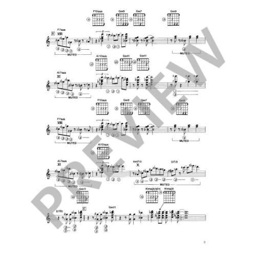Erquiaga, Steve - Guitar Duets