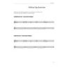 Naus, Wayne J. - Advanced Harmonic Concepts