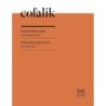 Cofalik, Antoni - Etudes-Capriccios 5
