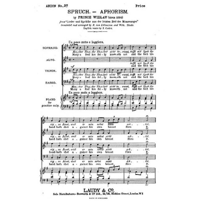 Witzlav, P. - Aphorism Many A Fool