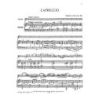 Have, Willem Ten - Capriccio Op.24
