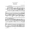Have, Willem Ten - Violin Concerto Op.30