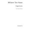 Capriccio For Violin And Piano Op.24