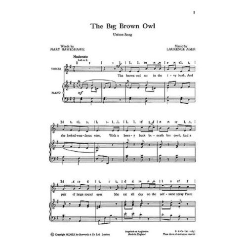 Ager, L The Big Brown Owl...