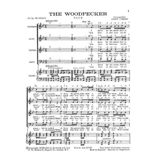 The Woodpecker