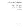 A Love's Dream After The Ball Intermezzo