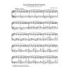 Bhatti & Bhatti - Grieg Morning Mood Variation
