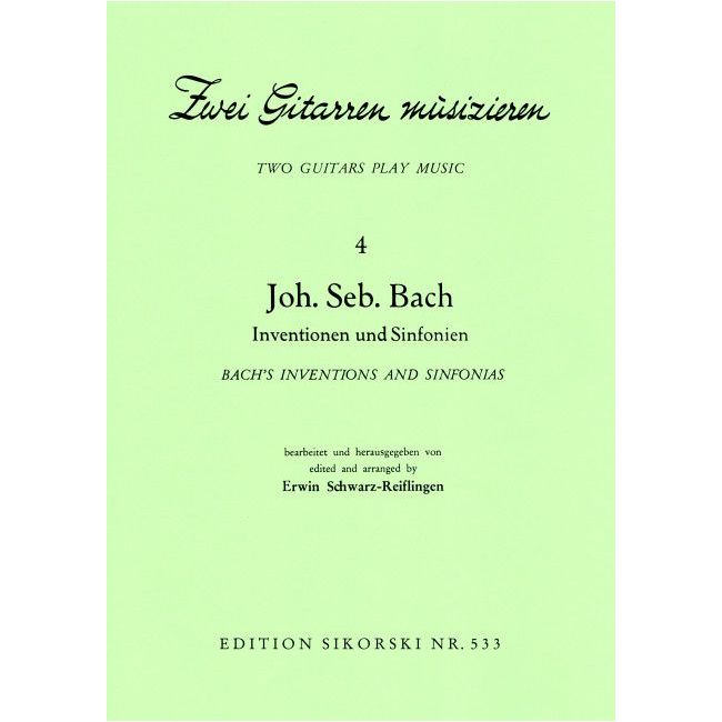 2 Gitarren musizieren