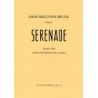 Brugk, Hans Melchior - Serenade Werk 22