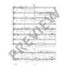 Glazunov, Alexander - Down the Mother Volga o. op.