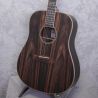 Tanglewood Reunion 12 String Ebony