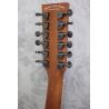 Tanglewood Reunion 12 String Ebony