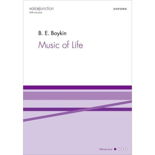 Boykin, B.E. - Music of Life