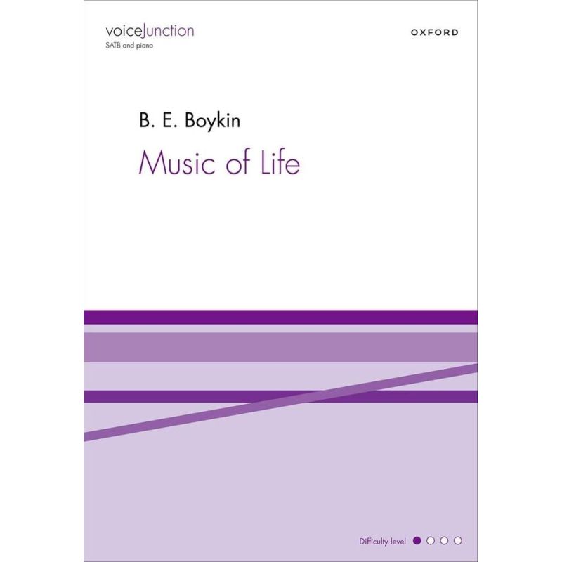 Boykin, B.E. - Music of Life