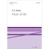 Boykin, B.E. - Music of Life