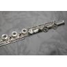 Miyazawa PB102RE Flute Outfit
