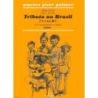 Verite, Alain - Tributo ao Brasil