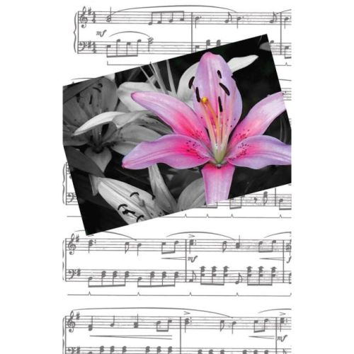 Recital Program 79 - Pink...