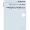 Sakai, Kenji - Wavering III - Motion Blur