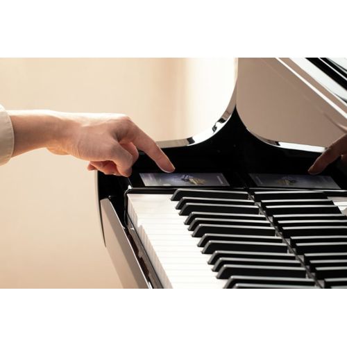 Kawai Novus NV10S Hybrid Digital Piano Ex Display