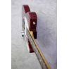 Fender Player II Telecaster Transparent Red