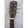 Johnson JR 960 Parlour Resonator