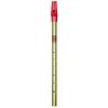 Generation Tin Whistle in C