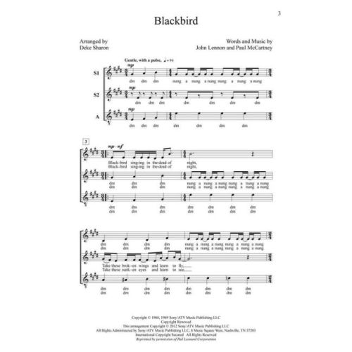 Blackbird