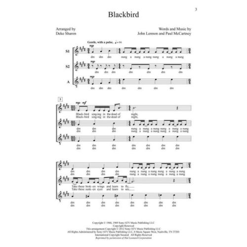 Blackbird