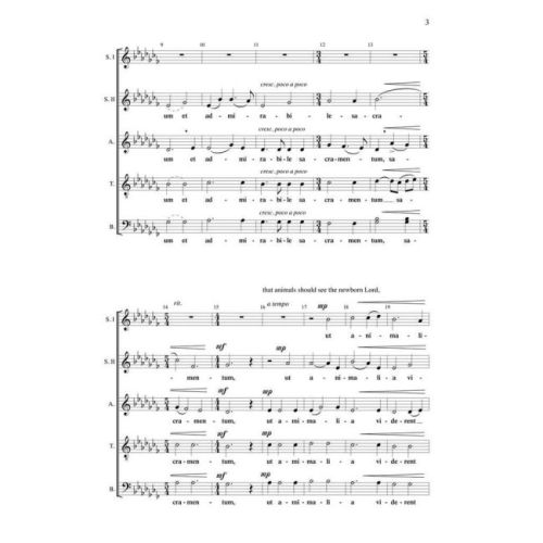 Burchard, Richard - O Magnum Mysterium