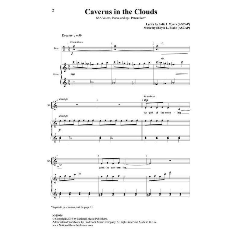 Julie Myers & Shayla L. Blake - Caverns in the Clouds