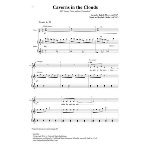 Julie Myers & Shayla L. Blake - Caverns in the Clouds