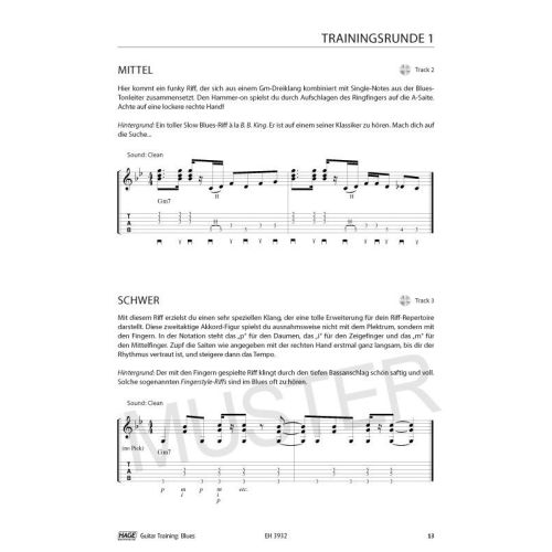 Schusterbauer, Daniel - Guitar Training Blues