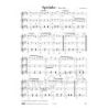 Weikmann, Karl - 100 wonderful solos, duets and trios for guitar