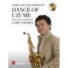 Piet Swerts - Dance of Uzume