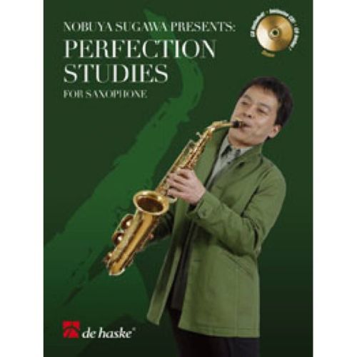 Perfection Studies...